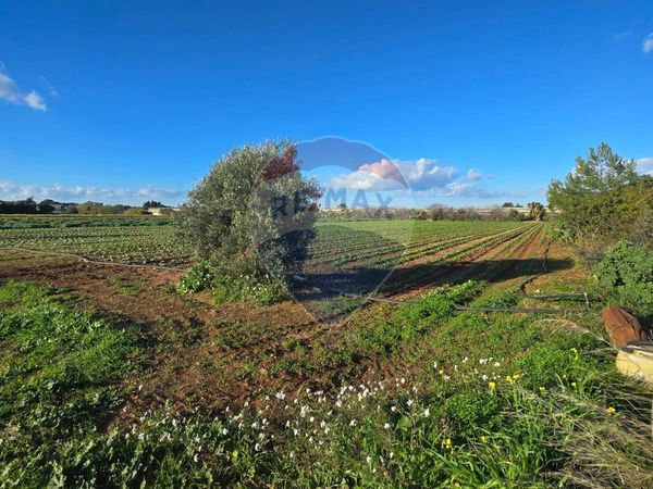 Casa Indipendente Carovigno, BR Vendita - Foto 4