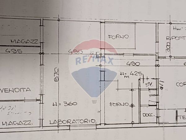 Casa Indipendente Stiava, Massarosa, LU Vendita - Foto 2