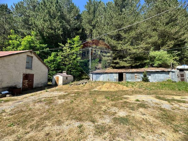 Casa Indipendente Casali del Manco, CS Vendita - Foto 3