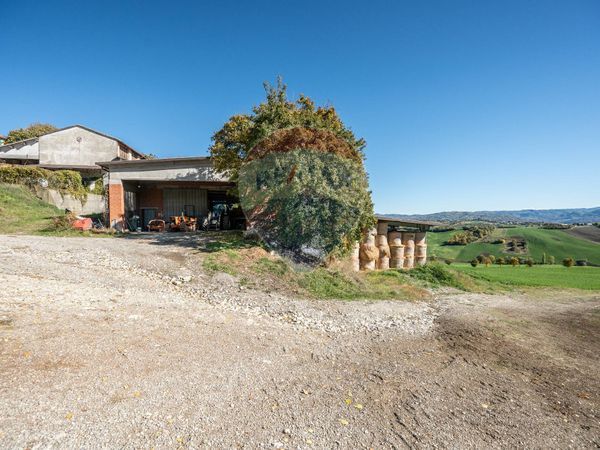 Azienda Agricola Mozzano, Neviano degli Arduini, PR Vendita - Foto 4