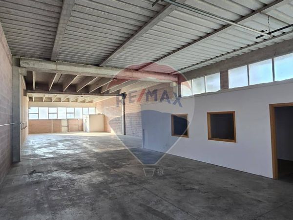 Capannone Industriale Polesella, RO Affitto - Foto 2