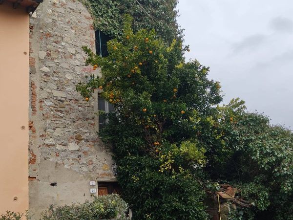 Rustico Sant'Angelo in Campo, Lucca, LU Vendita - Foto 2