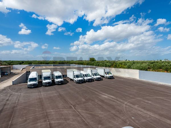 Capannone Industriale Modugno, BA Affitto - Foto 2