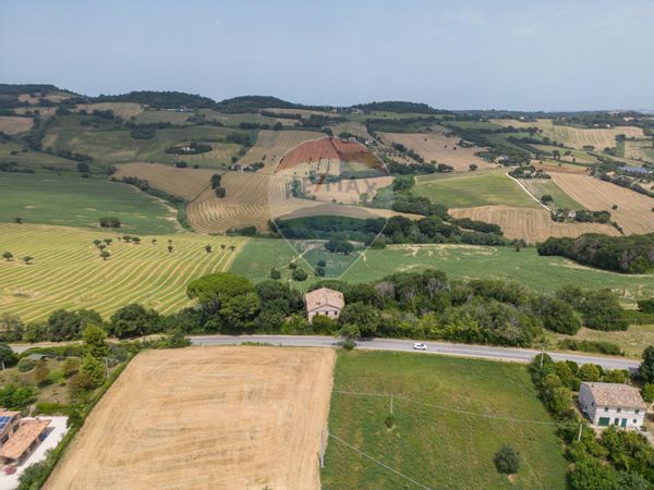 Casa Indipendente Osimo, AN Vendita - Foto 4