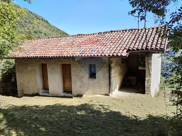 Casa Indipendente Boschi, Borgo Valbelluna, BL Vendita - Foto 2