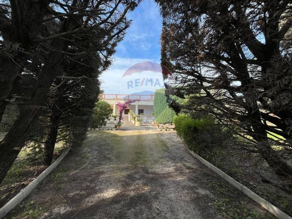 Villa singola Mesagne, BR Vendita - Foto 2