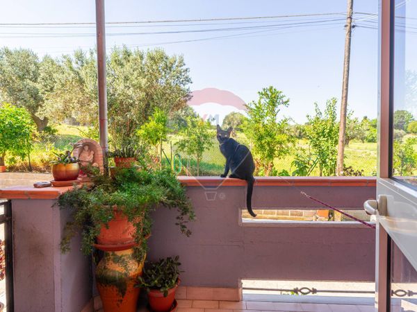 Duplex Villalfonsina, CH Vendita - Foto 3