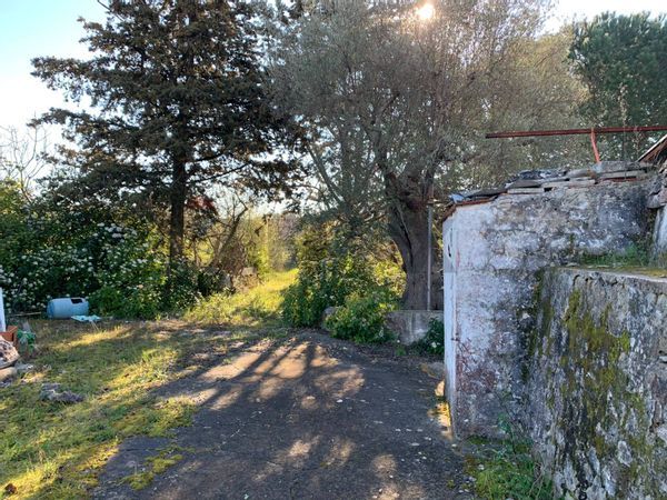 Baita/Chalet/Trullo Polignano a Mare, BA Vendita - Foto 2