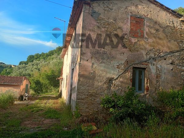 Cascina/Casale Pieve a Nievole, PT Vendita - Foto 4
