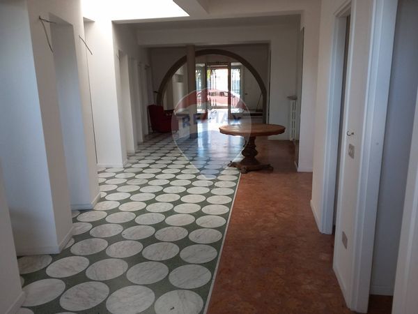 Negozio S.M. degli Angeli, Assisi, PG Affitto - Foto 4