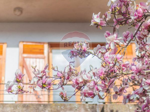 Villa o villino Acquapendente, VT Vendita - Foto 4