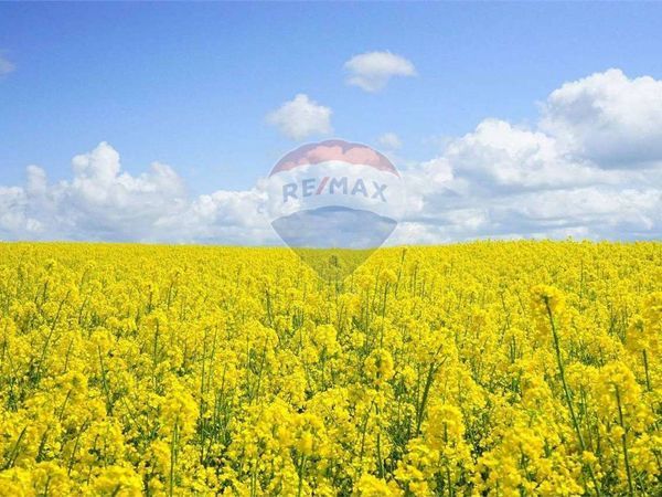 Terreno Serravalle, SM Vendita - Foto 2