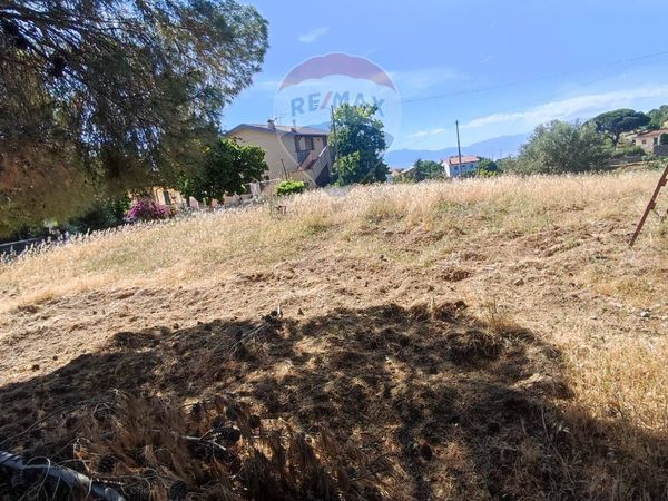 Terreno Corigliano-Rossano, CS Vendita - Foto 4