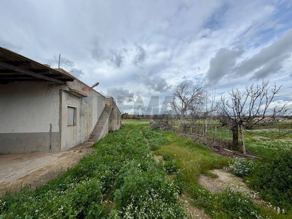 Villa o villino Santa Maria del Focallo, Ispica, RG Vendita - Foto 3