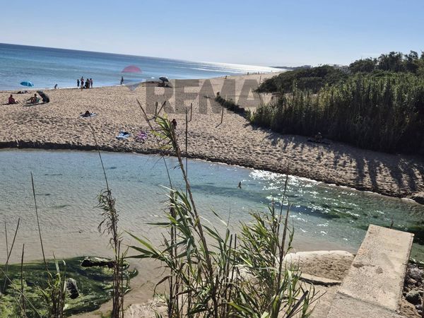 Villa singola San Pietro in Bevagna, Manduria, TA Vendita - Foto 4