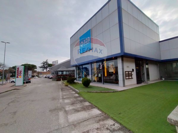 Locale Commerciale Ellera, Corciano, PG Affitto - Foto 3