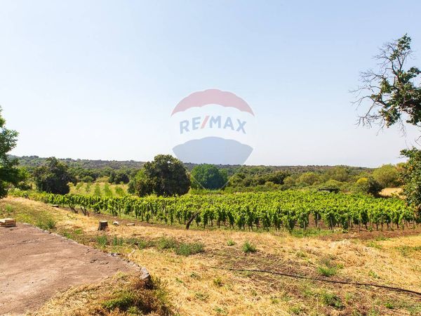 Cascina/Casale Adrano, CT Vendita - Foto 4