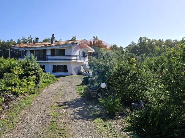 Villa singola Pabillonis, SU Vendita - Foto 3