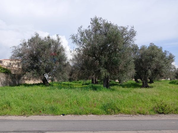 Terreno Edificabile Monteparano, TA Vendita - Foto 2