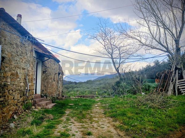 Cascina/Casale Felitto, SA Vendita - Foto 2