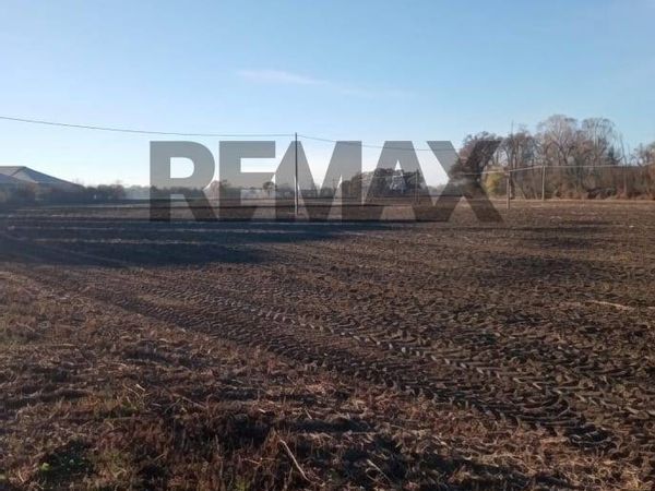 Terreno Carbonara al Ticino, PV Vendita - Foto 2