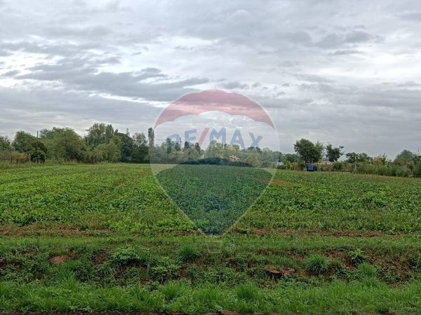 Terreno Ponzano Veneto, TV Vendita