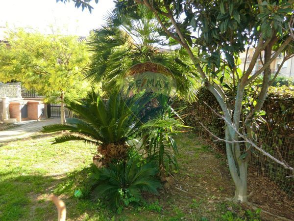 Villa a schiera Scarlino Scalo, Scarlino, GR Vendita - Foto 2