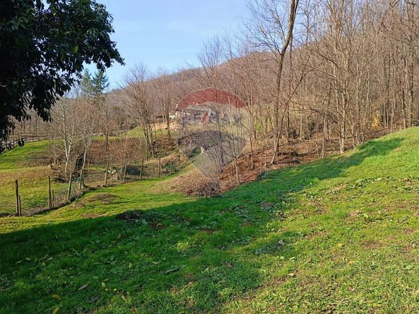 Rustico Castelcucco, TV Vendita - Foto 3