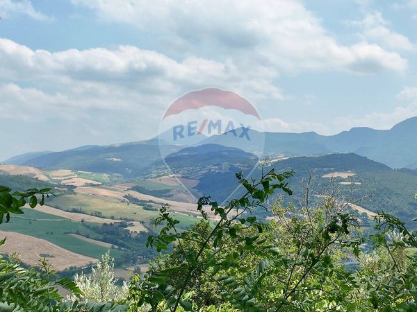 Casa Indipendente Forchiusa, Serra San Quirico, AN Vendita - Foto 4