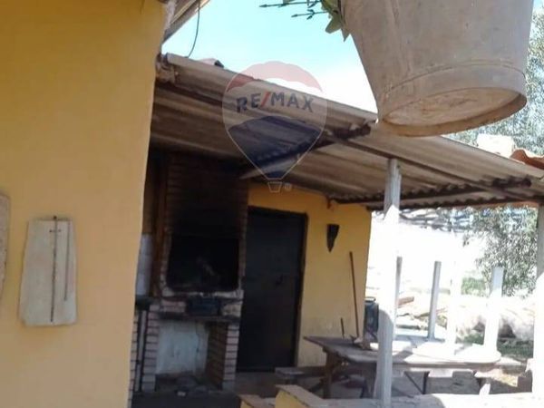 Villa o villino Gela, CL Vendita - Foto 4