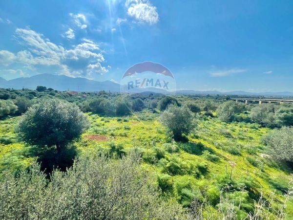 Terreno Edificabile Terrasini, PA Vendita - Foto 3