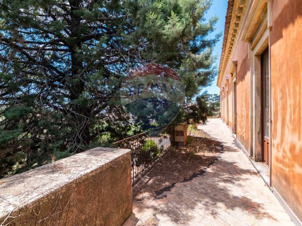 Villa singola Mascalucia, CT Vendita - Foto 4