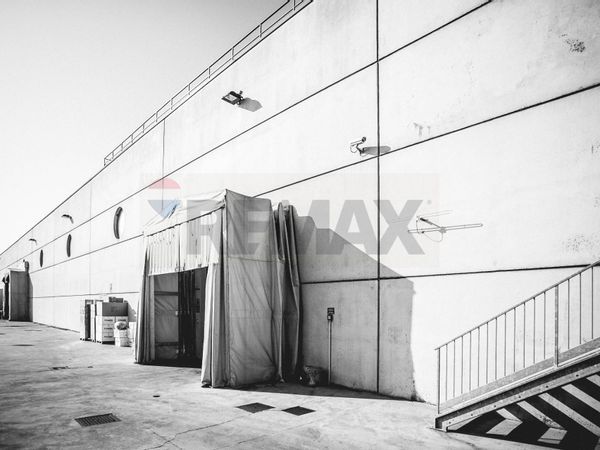 Capannone Industriale Albaredo d'Adige, VR Vendita - Foto 3