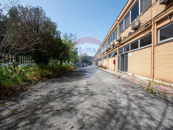 Ufficio Settecamini, Roma, RM Affitto - Foto 2