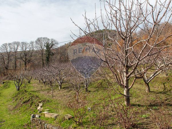 Rustico Parmentelli, Ragalna, CT Vendita - Foto 4