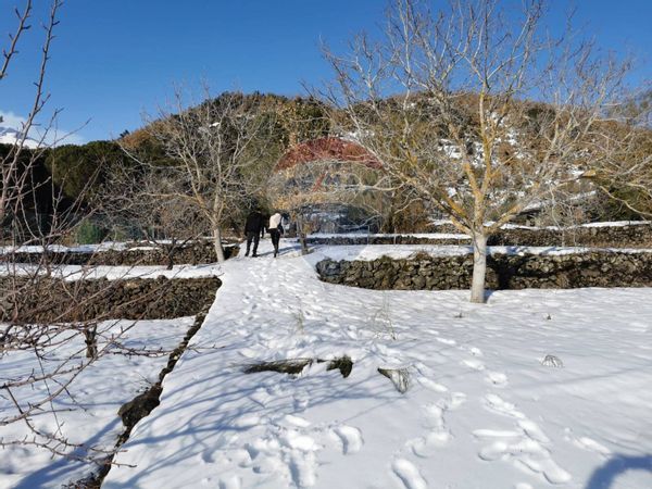 Cascina/Casale Nicolosi, CT Vendita - Foto 4