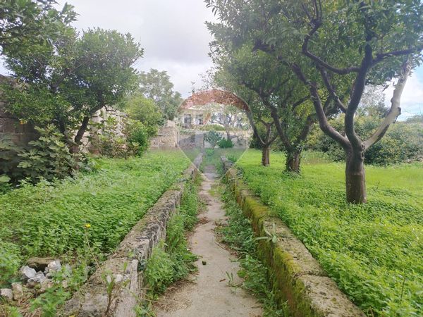 Casa Indipendente Spongano, LE Vendita