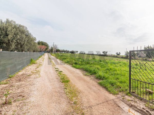 Porzione di casa Montalto di Castro, VT Vendita - Foto 3