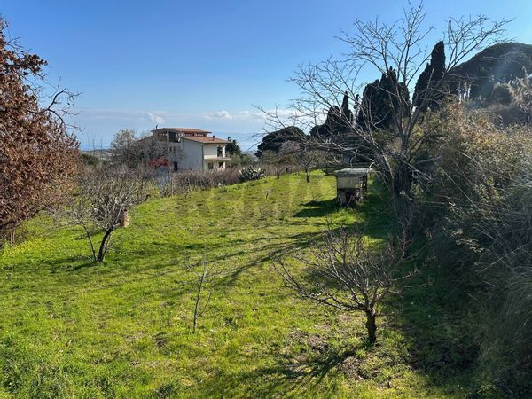 Terreno Ganzirri, Messina, ME Vendita - Foto 4