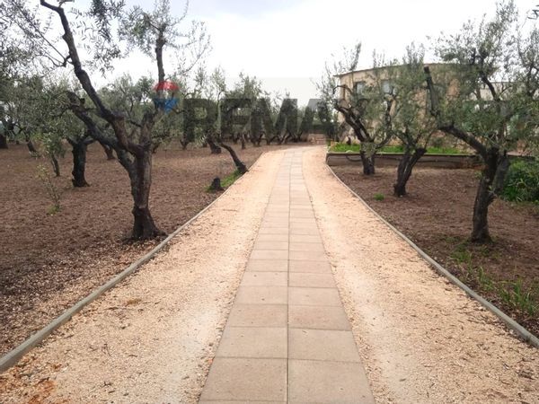 Commerciale Altro Barletta, BT Affitto - Foto 3