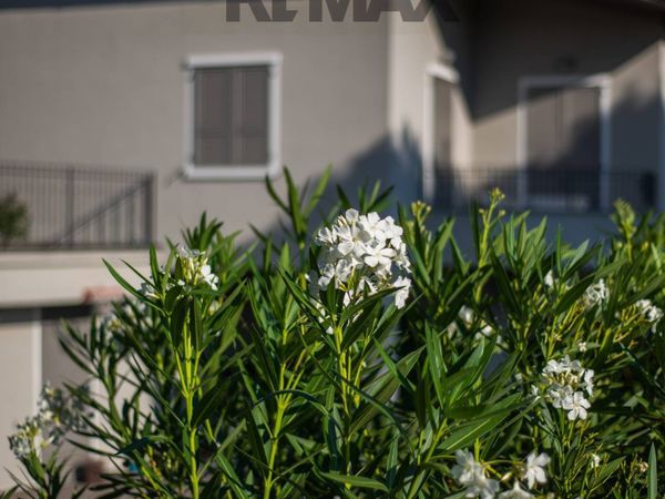 Villa singola Credaro, BG Vendita - Foto 4