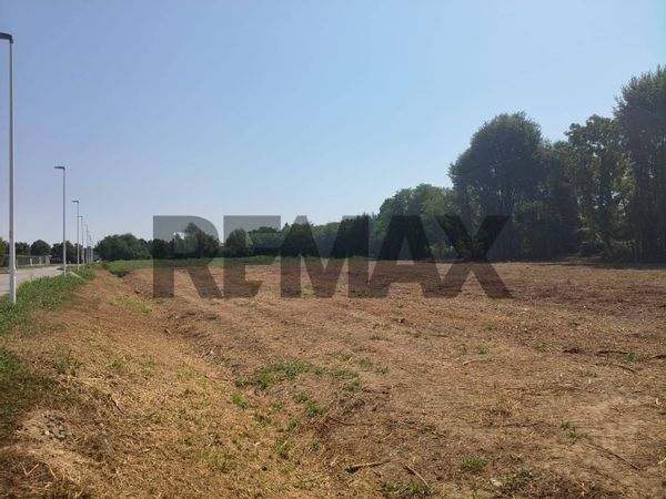 Terreno Edificabile Piazzola sul Brenta, PD Vendita - Foto 4