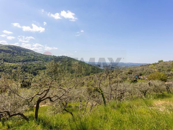 Terreno Osteria Nuova, Bagno a Ripoli, FI Vendita - Foto 3