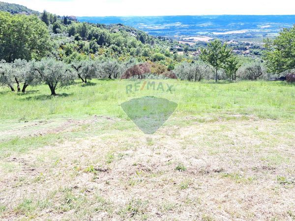 Terreno Edificabile Montecchio, TR Vendita