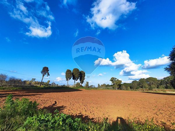 Terreno Edificabile Caltagirone, CT Vendita - Foto 4