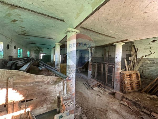 Rustico Ravegnana, Ravenna, RA Vendita - Foto 2