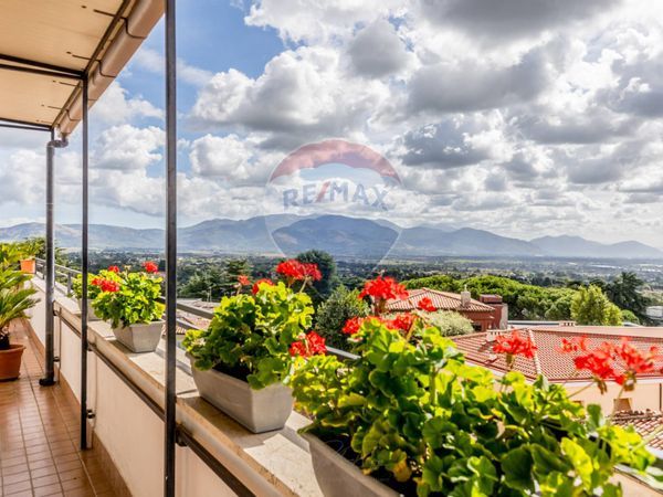 Attico/Mansarda Velletri, RM Vendita - Foto 2