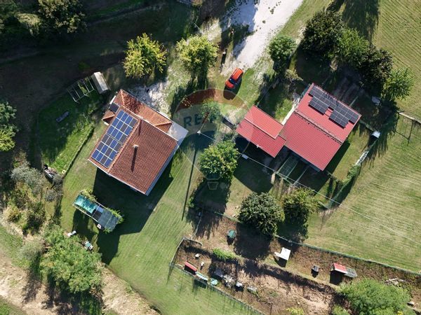 Azienda Agricola Faella, Castelfranco Piandiscò, AR Vendita