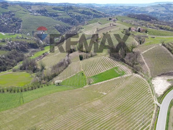 Terreno Alba, CN Vendita