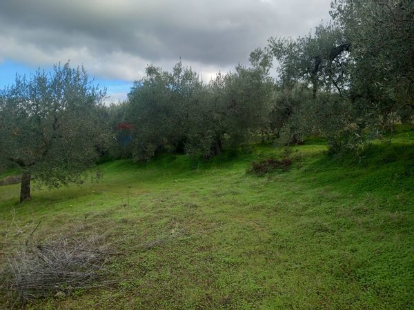 Terreno Dolianova, SU Vendita - Foto 4